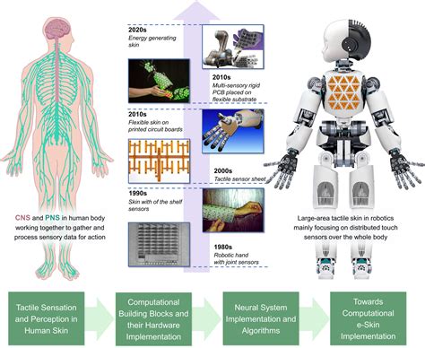 how are our bodies similar to robots